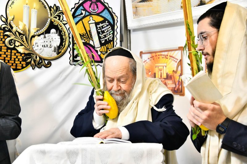 שוקי לרר