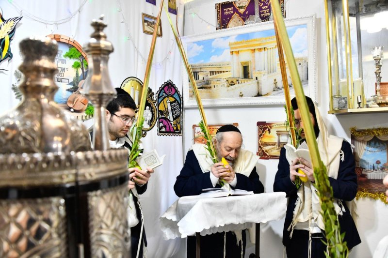שוקי לרר