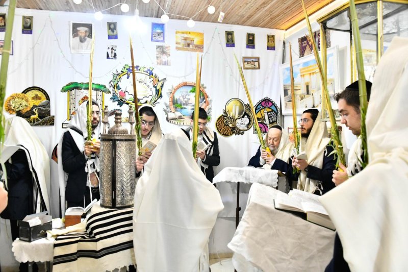 שוקי לרר