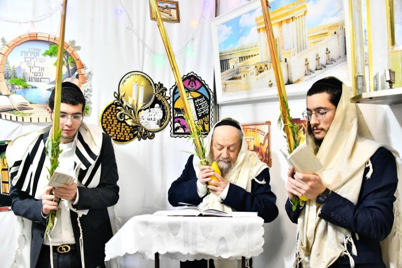 שוקי לרר