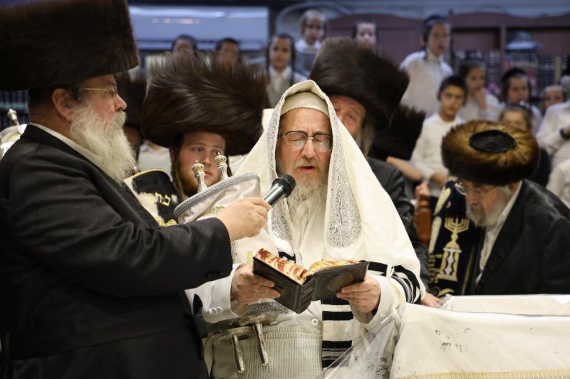 נתי אמרגי