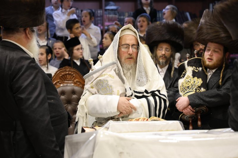נתי אמרגי