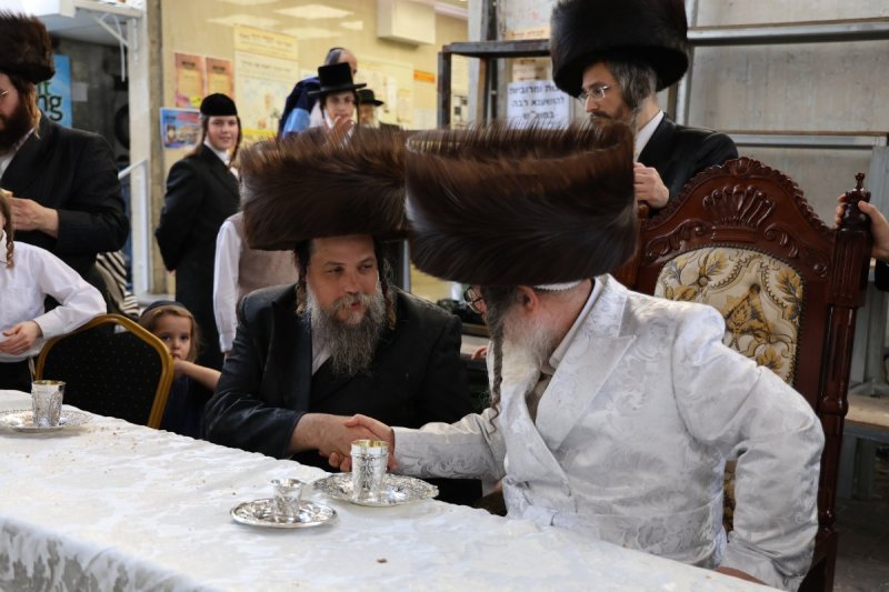 נתי אמרגי