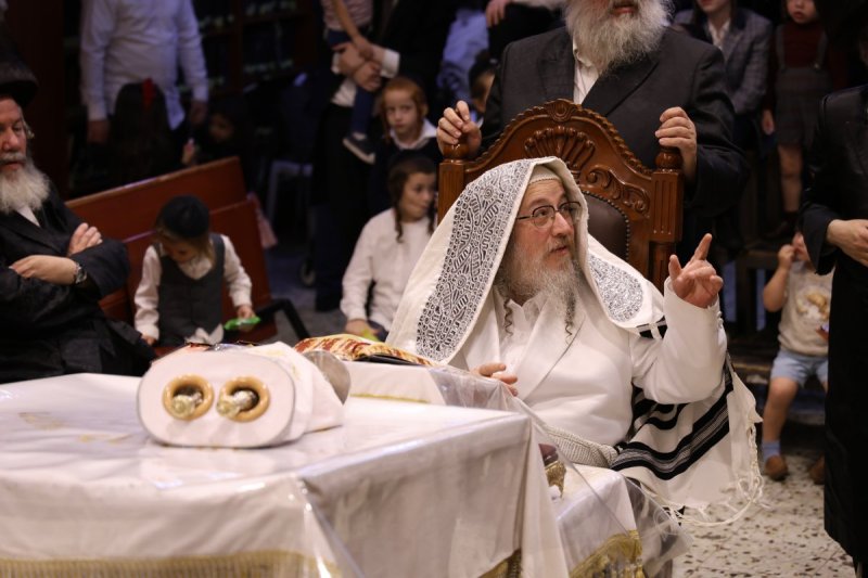 נתי אמרגי