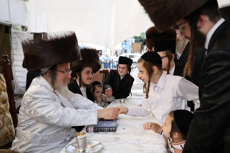 נתי אמרגי