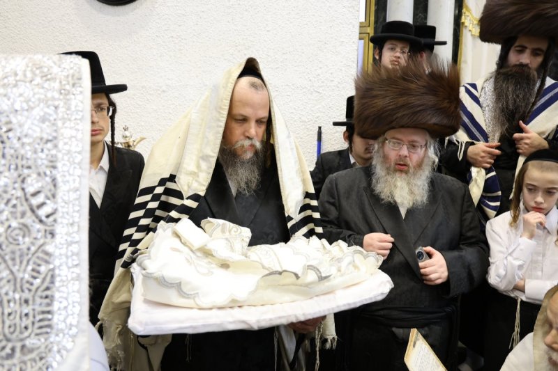 נתי אמרגי