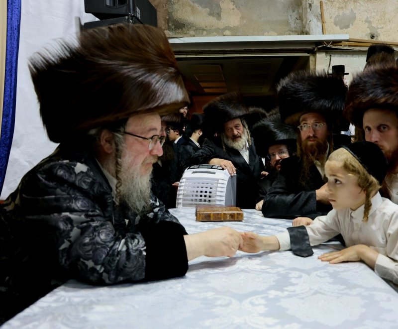 נתי אמרגי