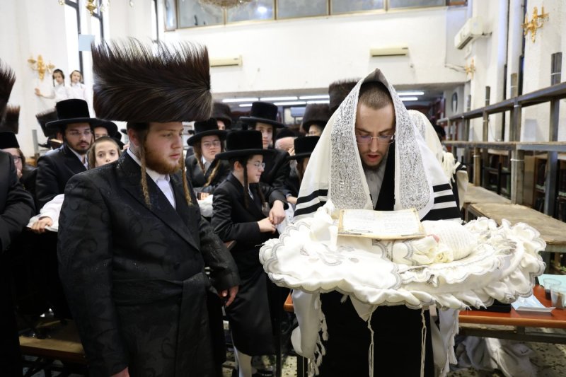 נתי אמרגי