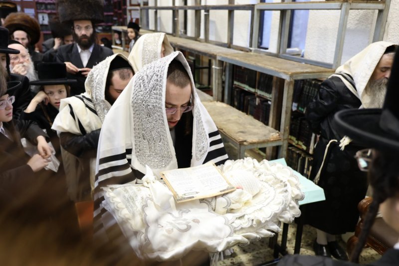נתי אמרגי