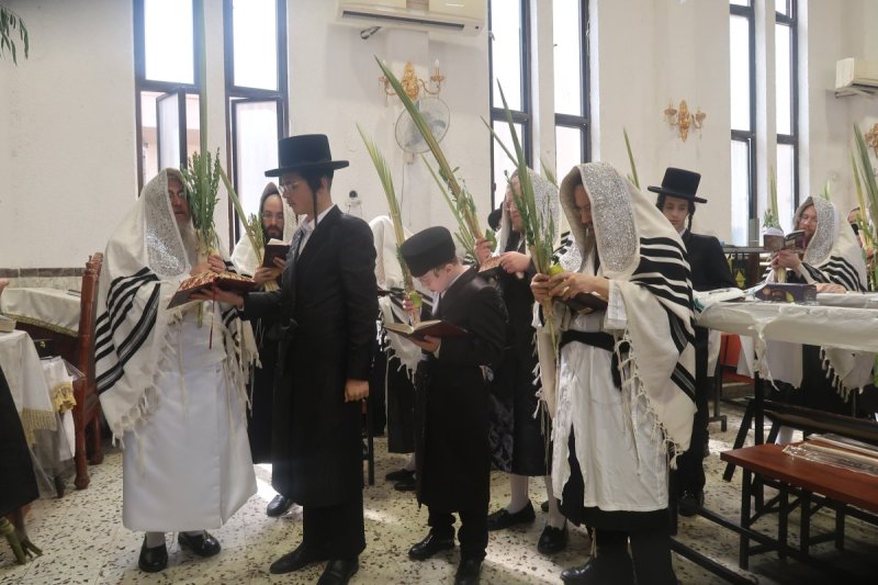 נתי אמרגי