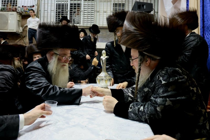 נתי אמרגי