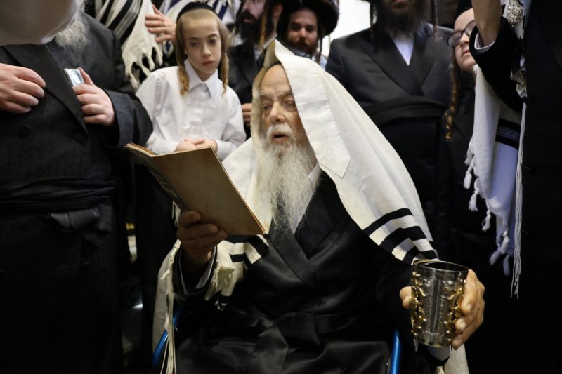 נתי אמרגי