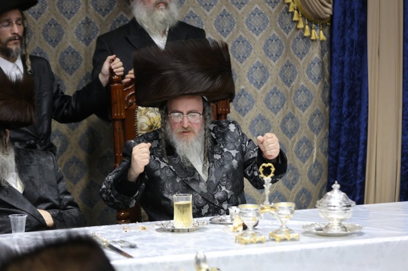 נתי אמרגי