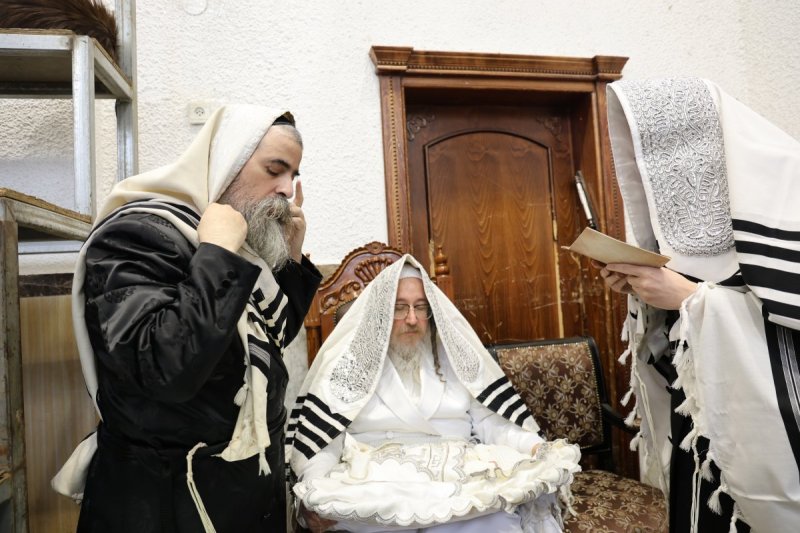 נתי אמרגי