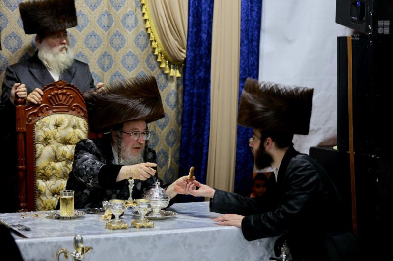 נתי אמרגי