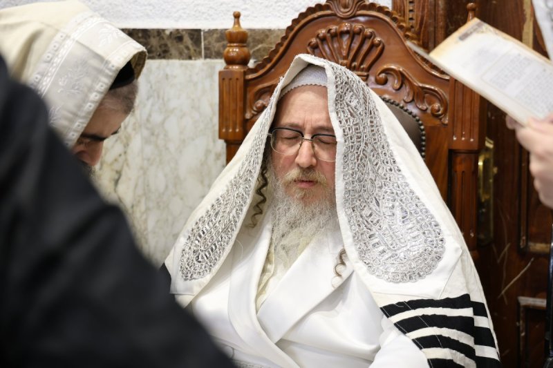 נתי אמרגי