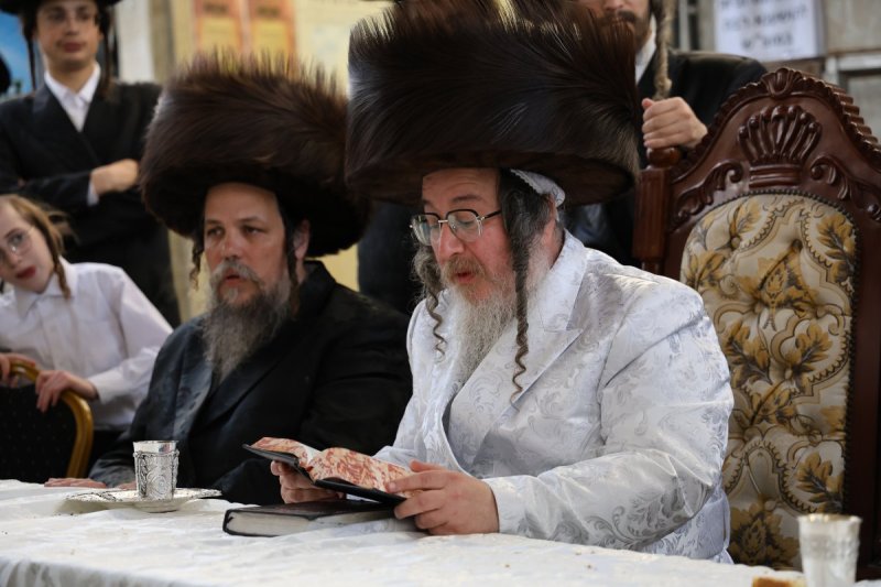 נתי אמרגי