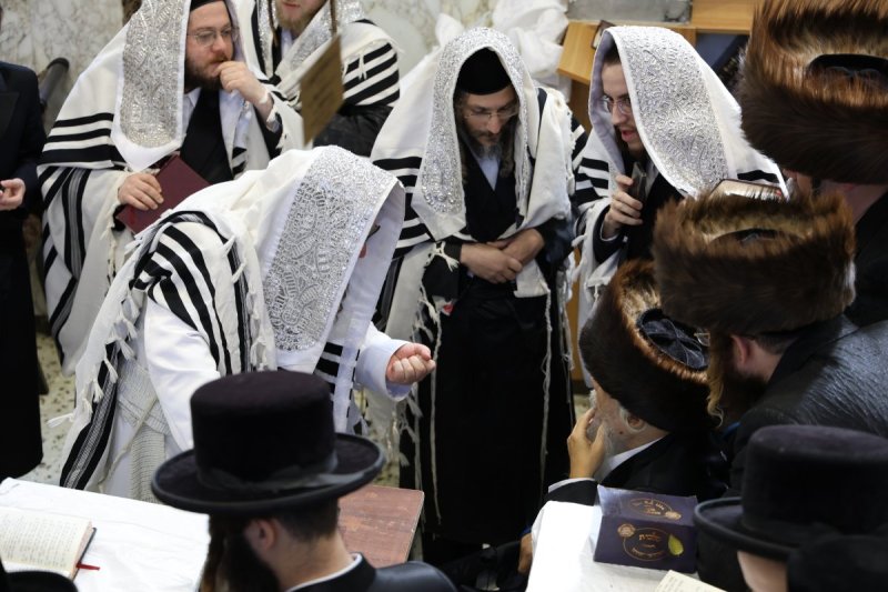 נתי אמרגי