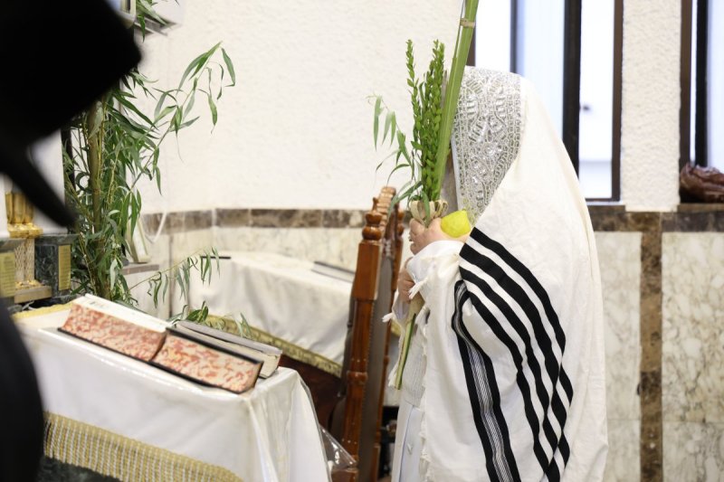 נתי אמרגי