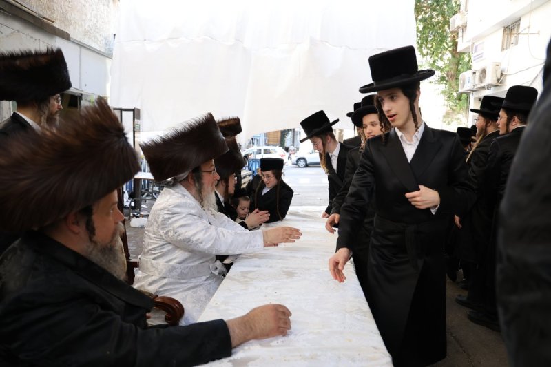 נתי אמרגי