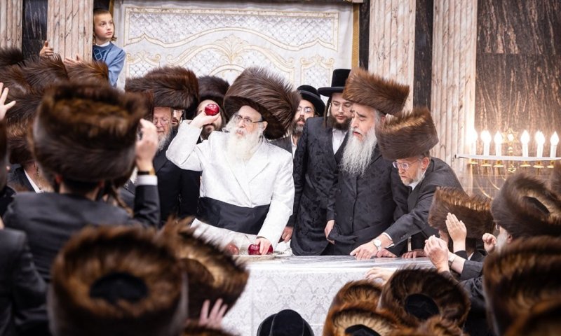 מהטיש ועד זריקת התפוחים: חג הסוכות בחצר הקודש צאנז קלויזנבורג