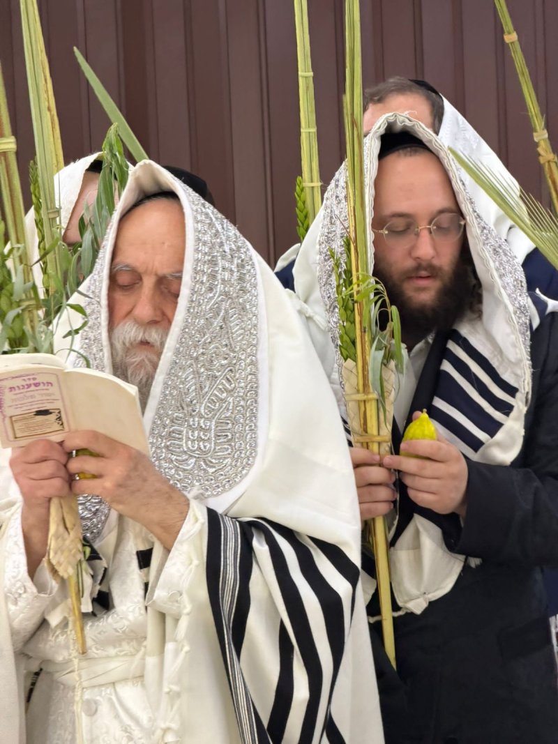 איתי קצב