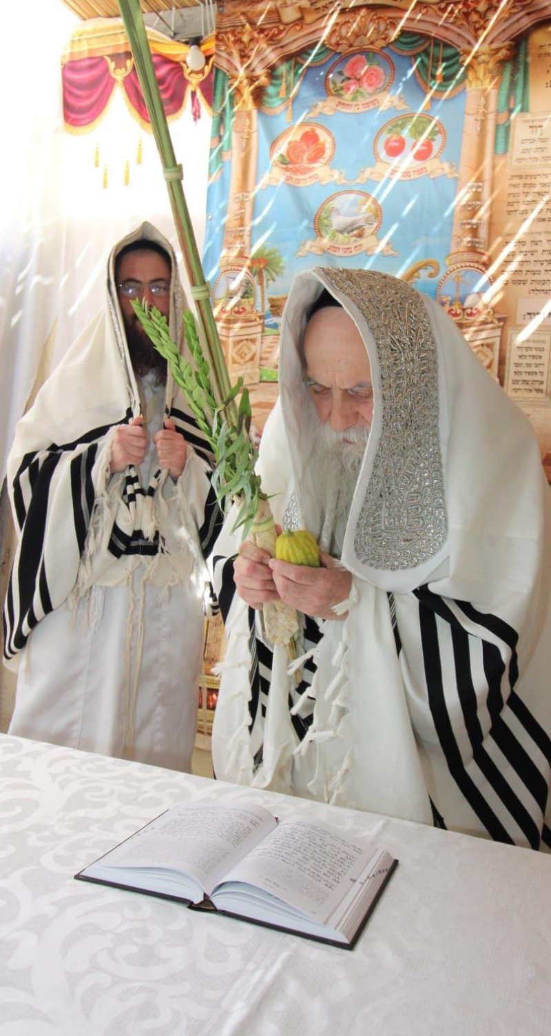 איתי קצב