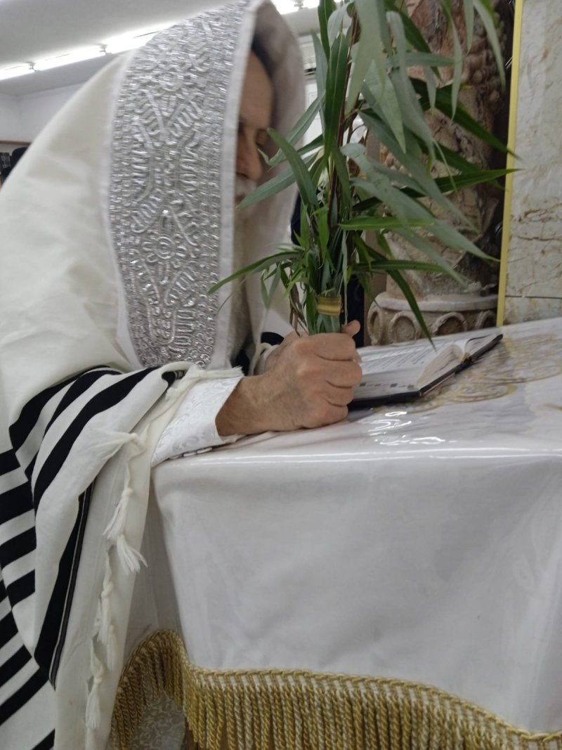 איתי קצב
