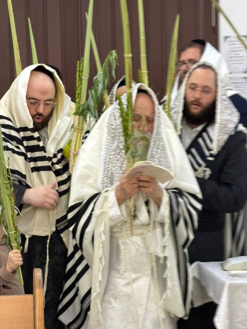 איתי קצב