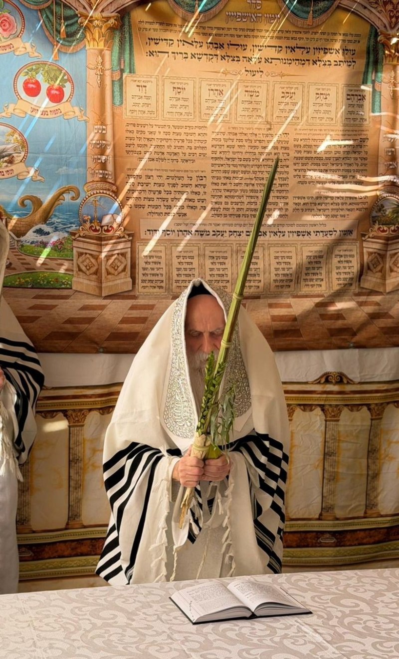 איתי קצב