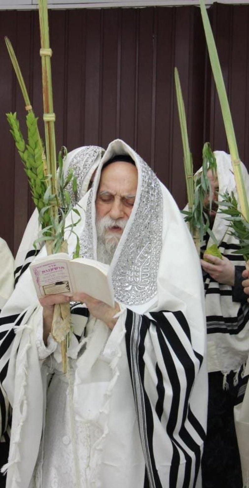 איתי קצב