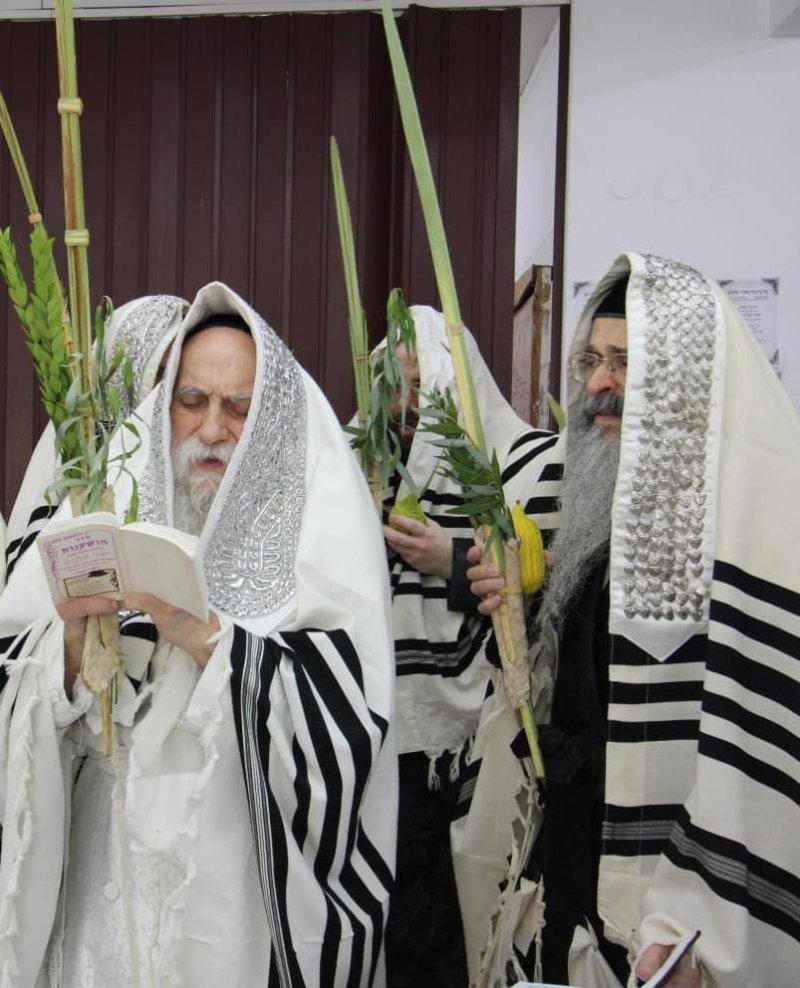 איתי קצב