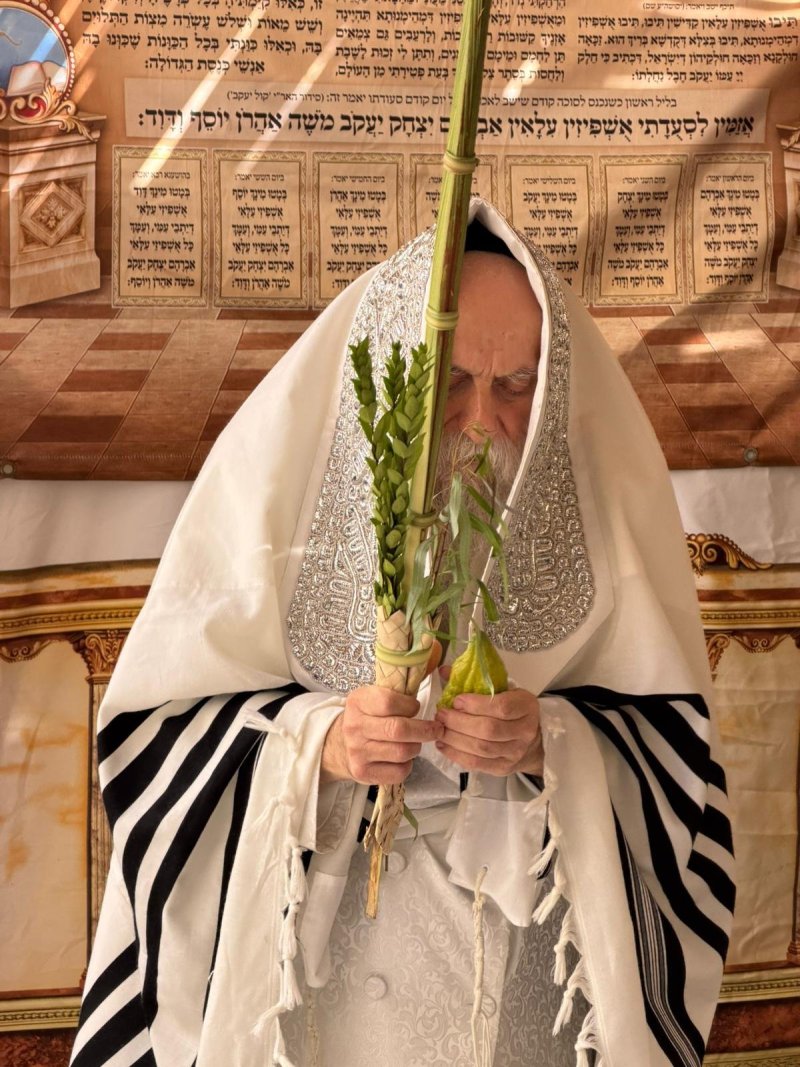 איתי קצב