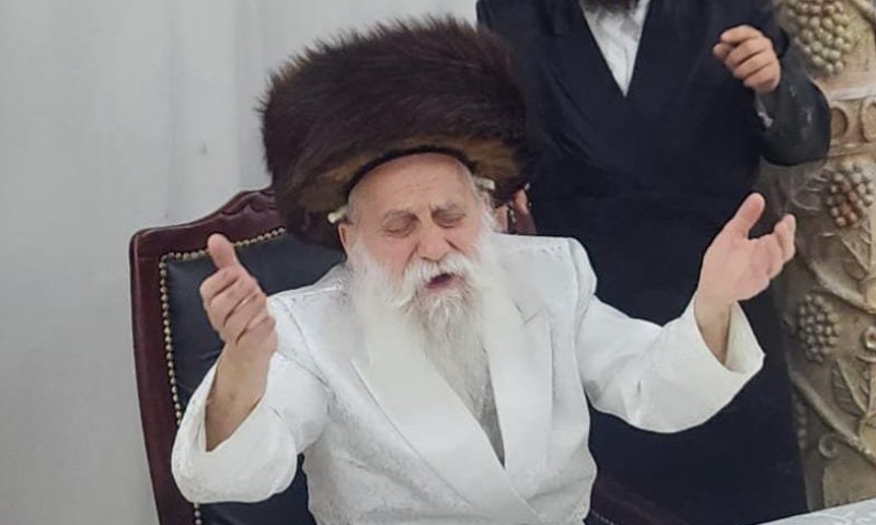 וּשְׂמַחְתֶּם לִפְנֵי ה': תיעוד מחודש תשרי בחצר הקודש בוטושאן