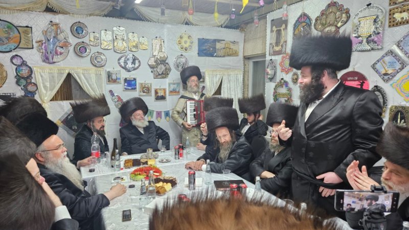 שלומי טריכטר