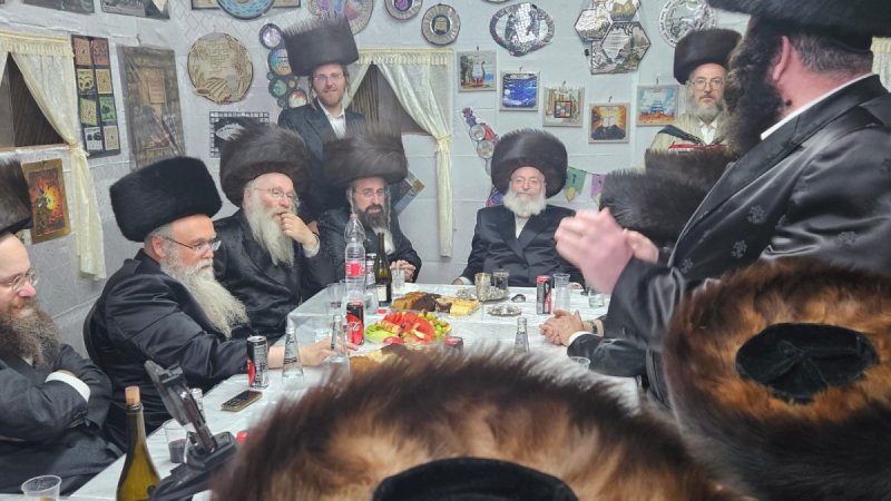 שלומי טריכטר