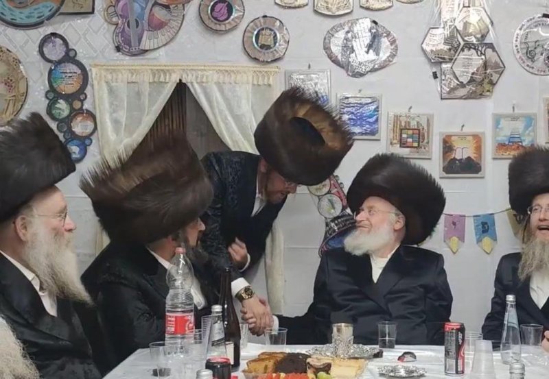 שלומי טריכטר