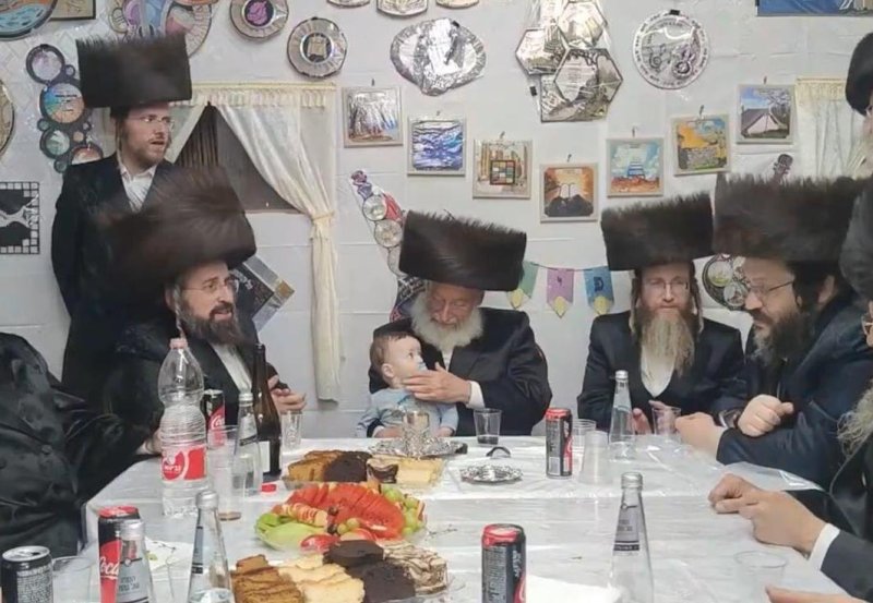 שלומי טריכטר