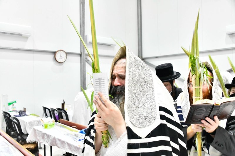 שוקי לרר