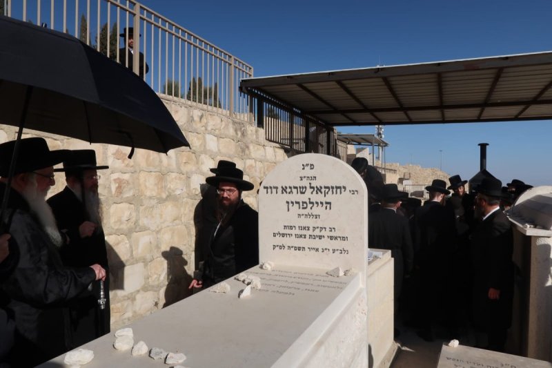 א.פ