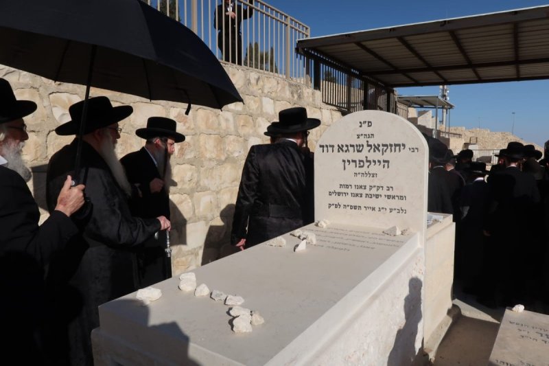 א.פ