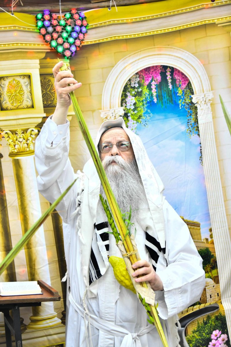 שוקי לרר