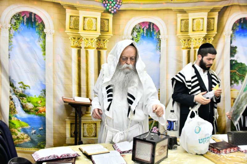 שוקי לרר