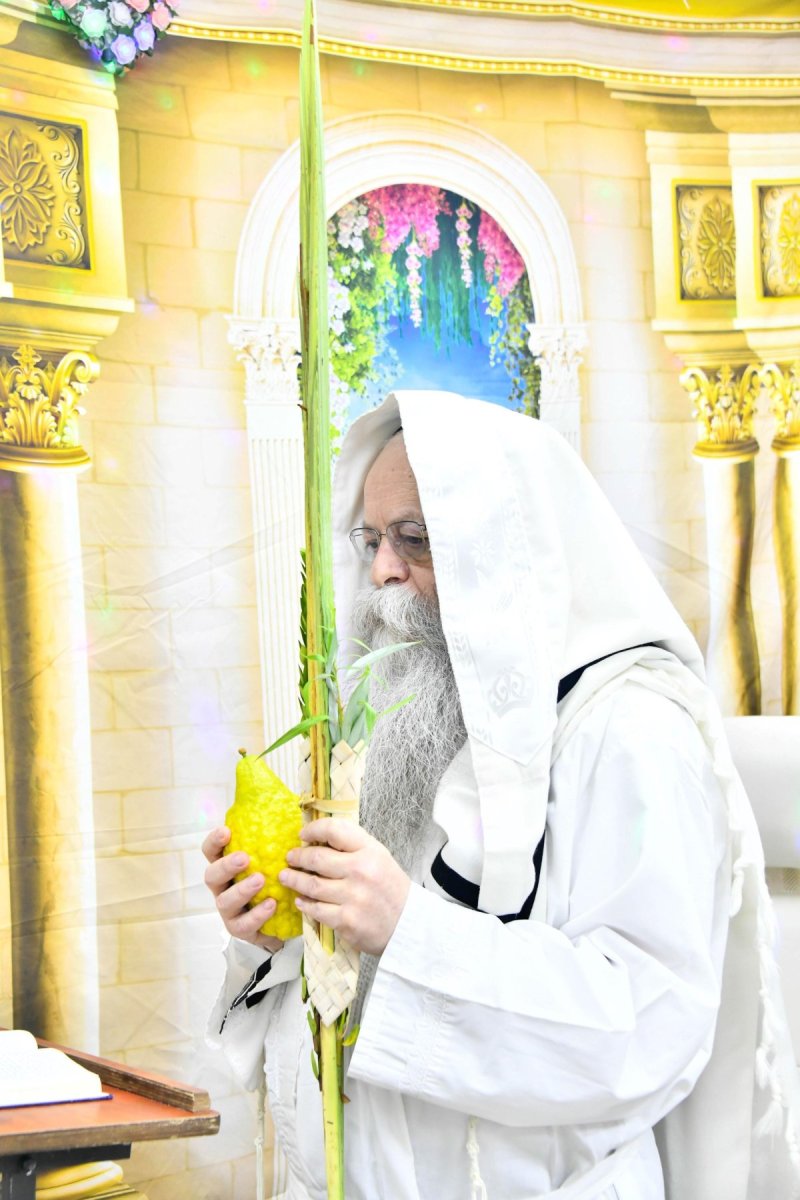 שוקי לרר