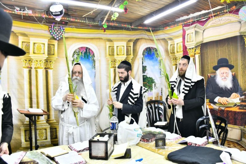 שוקי לרר