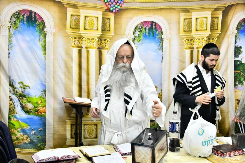 שוקי לרר