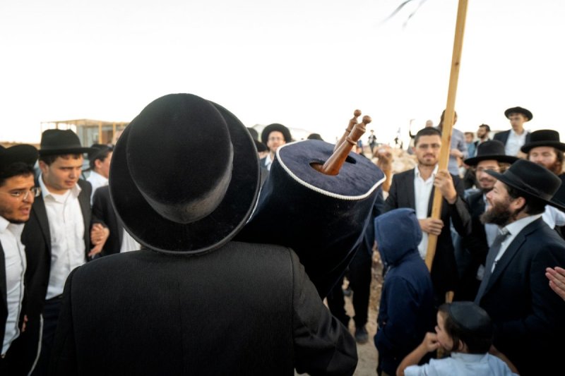 דובי שמרוט