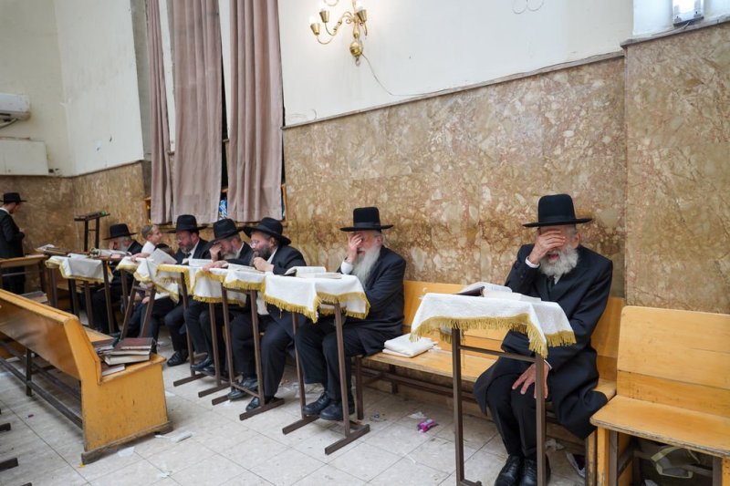 נתי פרל