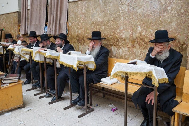 נתי פרל