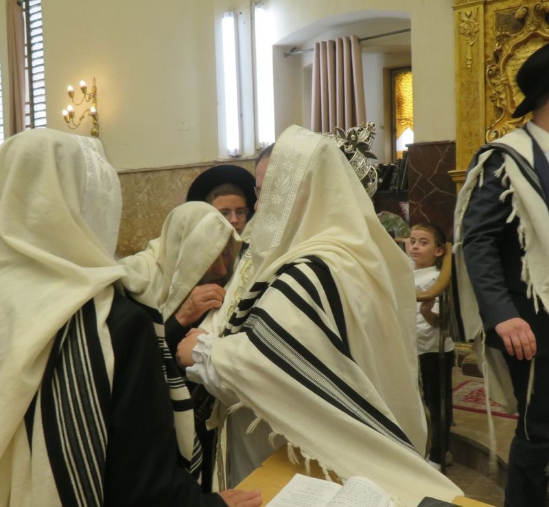 נתי פרל